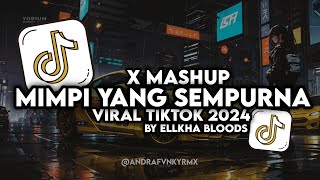 DJ MIMPI YANG SEMPURNA X MASHUP VIRAL TIKTOK 2024