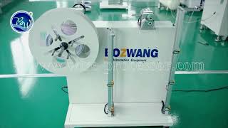 BZW-2P Full automatic 2 Pin flat wire terminal crimping machine