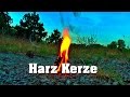 Harz Kerze