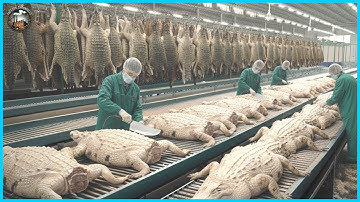 Inside the Hermès Atelier: How Nile Crocodile Skin Becomes $50,000 Birkin Bags | Full Process