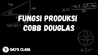 Cobb Douglas Production Function