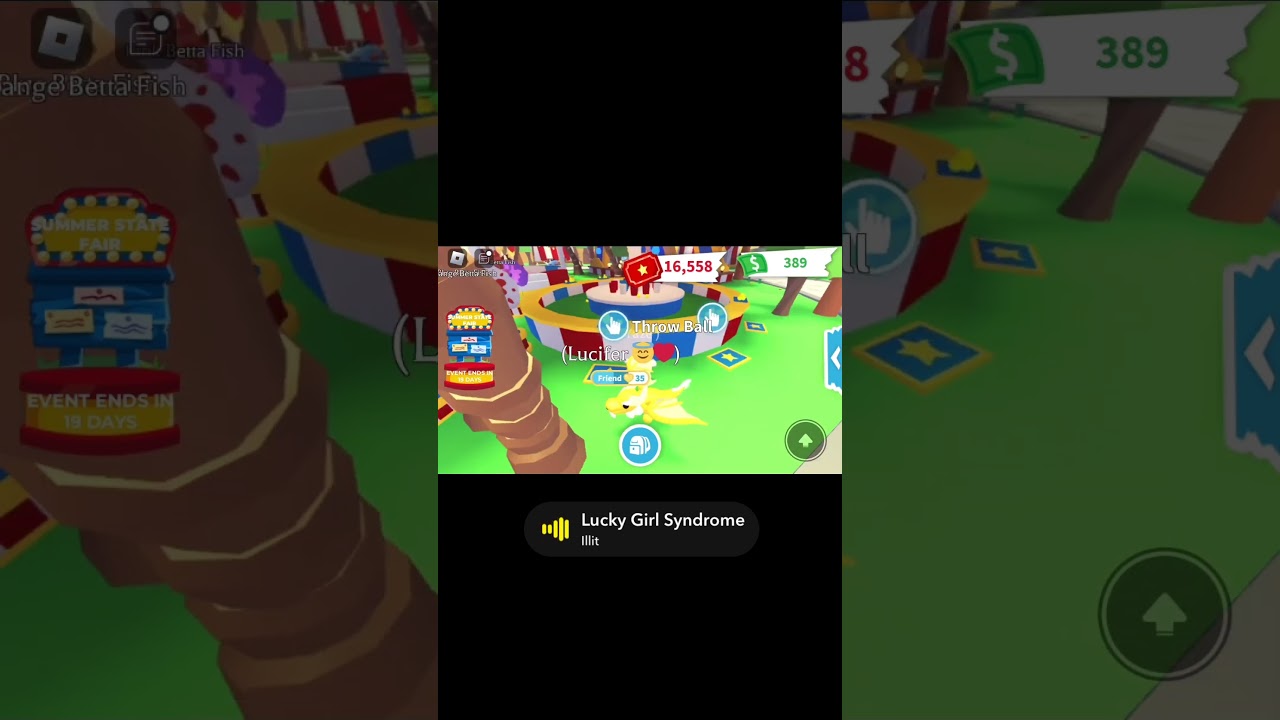 Summer fest in adopt me. All the fish you can get. 