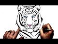 How to Draw a White Tiger | Step By Step