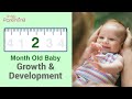 Your 2 Month Old Baby's Growth and Development