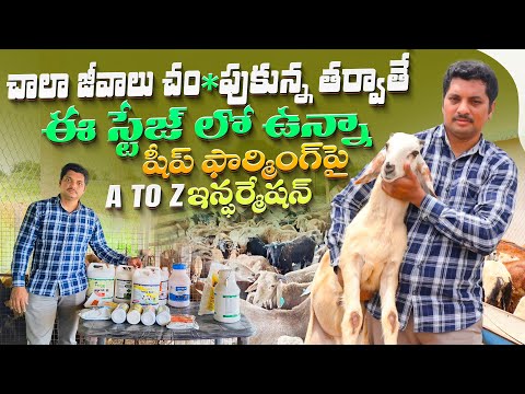 Sheep and Goat farm training | గొర్రెలు, మేక‌ల పెంప‌కంపై పూర్తి స‌మాచారం #sheepandgoatfarm