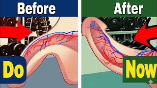 Boost Size Naturally With Kegel Exercises – Step-by-Step Guide