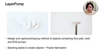 LayerPump: Rapid Prototyping of Functional 3D Objects with Built-in Electrohydrodynamics Pumps ...