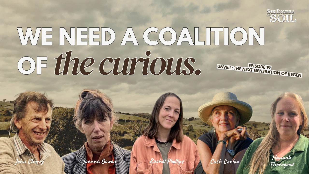 How Do We Make Every Day a Groundswell Day? | Regenerative Farming, Education & Community