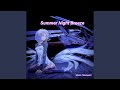 Summer Night Breeze