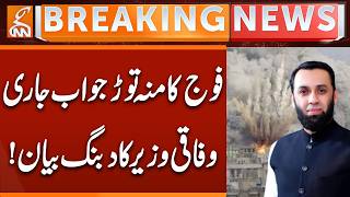 Atta Tarar Important Statement | Breaking News | GNN