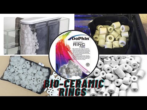 Unboxing Of Bio-Ceramic Rings For Our Aquarium - YouTube