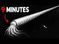 How Long Youd Last in Every Prehistoric Ocean