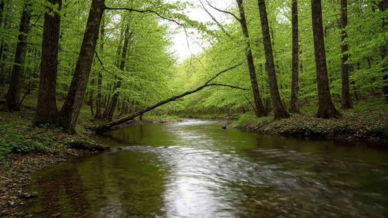 Native American Flute River Echoes | Healing Calm for Peace & Inner Stillness