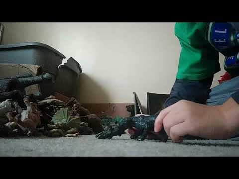 Black jaguar vs American 🐊 crocodile