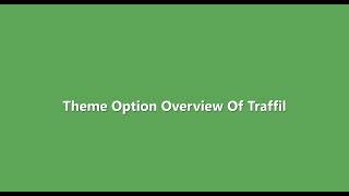 Theme Option Overview | Traffil - TravelPayouts WordPress Theme with Travel Booking Affiliate