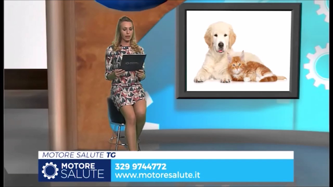 02/06/17 - Cosa scatena l'allergia a cani e gatti