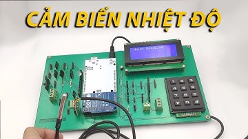 Cảm Biến Nhiệt Độ DS18B20 Dây