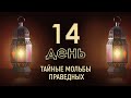 День четырнадцатый. Тайные мольбы праведных