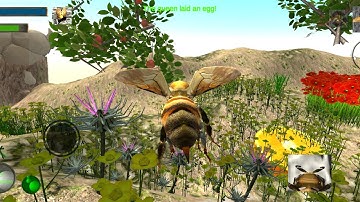 Bee Nest Simulator 3D - Insect And 3D Animal Game #Bee | Android GamePlay FHD