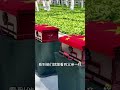 志願軍張樹珊烈士的手錶 #志願軍 #紅色記憶 #在韓志願軍遺骸歸國