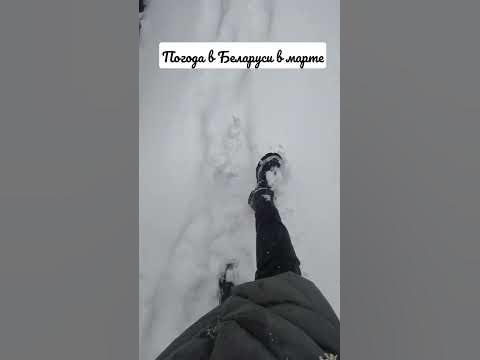 Погодка так и шепчет😂 #беларусь #2023 #минск #погода #снег # ...