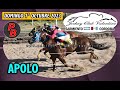 APOLO: JOCKEY CLUB VALENTINE - SARMIENTO, CBA (01-10-2023)