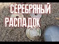 Россыпь монет. Серебро Карафуто.