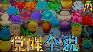 【ONE PIECE】悪魔の実