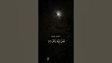 سوره الكوثر اسلام صبحي  #عبدالرحمن_مسعد #اسلام_صبحي #احمد_خضر #شريف_مصطفى #ارح_قلبك #قرآن
