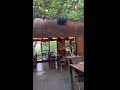 📌 Evening Charm at Asador Fiscal ( Spain)🇪🇸