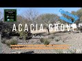 Acacia grove  vistancia living peoria arizona resortlife vistancia peoriaaz