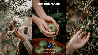 Lightroom Preset DNG Free Download | Golden Tone | Lightroom Tutorial | dhimithri screenshot 5