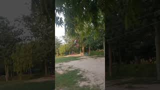 eco park cycle with ring #reels #trending #viral #viralvideo #viralshort #funny #viralreels #cycling