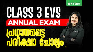Class 3 Evs Important Exam Question Xylem Class 3