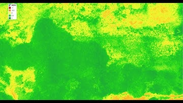 Agricultura de Precisión: Procesamiento de Datos Multiespectrales en Agisoft Metashape