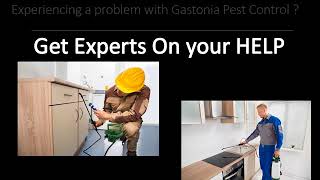 Gastonia Pest Control - Local Pest Control Service in Gastonia