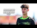 Rodrigo ribeiro  technical young striker  2022