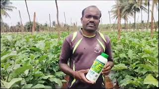 Kingdao APP NPK 10:34:0 | Vegetable Crop | Ammonium Polyphosphate | NPK TE Fertilizers |#APP 10:34:0