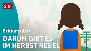 So Entsteht Nebel Einfach Erklärt Kindervideos Srf Kids
