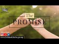 THE PROMISE | BOC Daily Devotion | Bride of Christ