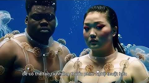 Hướng dẫn sử dụng VEO3 Flow 2025 Từ Google