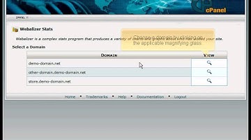 Accessing Website Statistics via Webalizer (www.webpromo-inc.com)