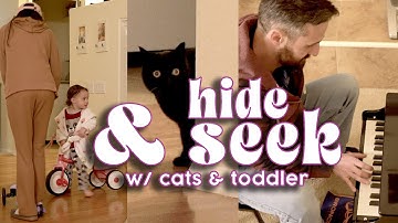 chaotic bedtime routine 🐈‍⬛🚲👧🏻