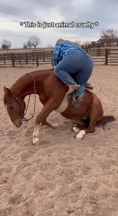 horse struggles to carry an overweight woman