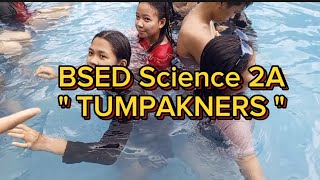 BSED Science 2A "TUMPAKNERS" | Elgen Beringuela