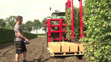 QuickHedge instant hedges - lifting/ digging