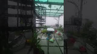 Bão YAGI Hải Phòng 2024 p5