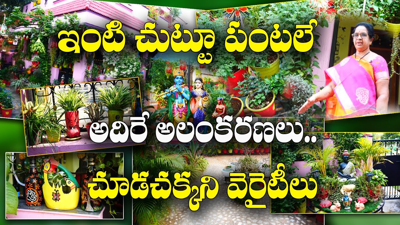 వృథాని సరిగ్గా ఉపయోగిస్తే - ఇంటికే ప్రకృతి అందాలు | Home Gardening and Makeover |