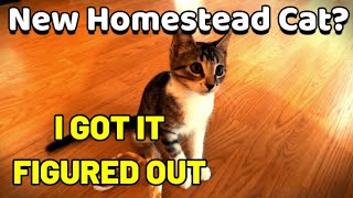 Garden Hunter | Homestead Vlog