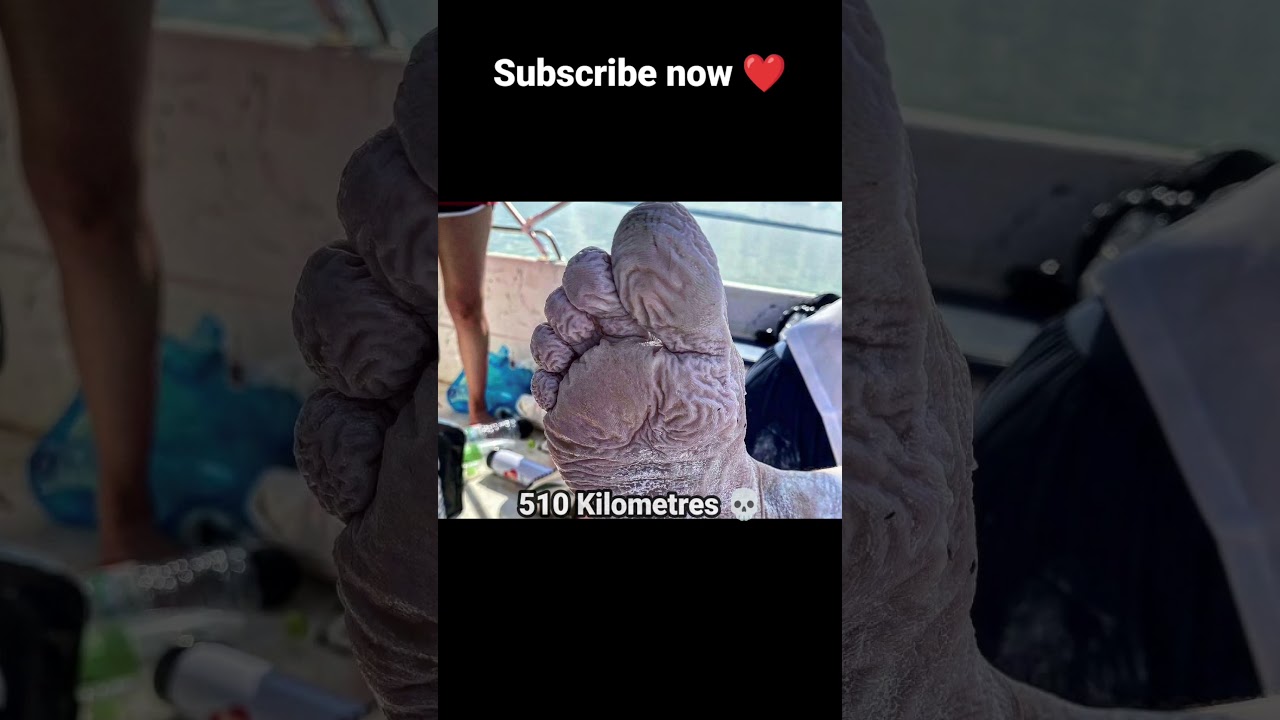 👉 यह आदमी Real life Aquaman है ! 😱💀 Rose Edgley World Record 